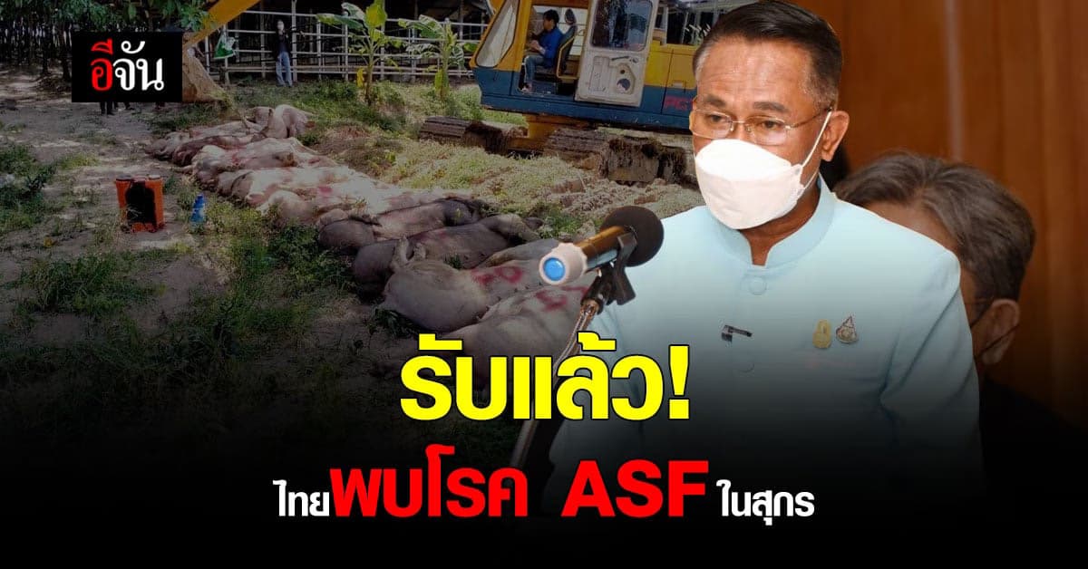 กรมปศุสัตว์ ประกาศ! ไทยพบโรค ASF ในสุกร จากโรงฆ่าสัตว์นครปฐม