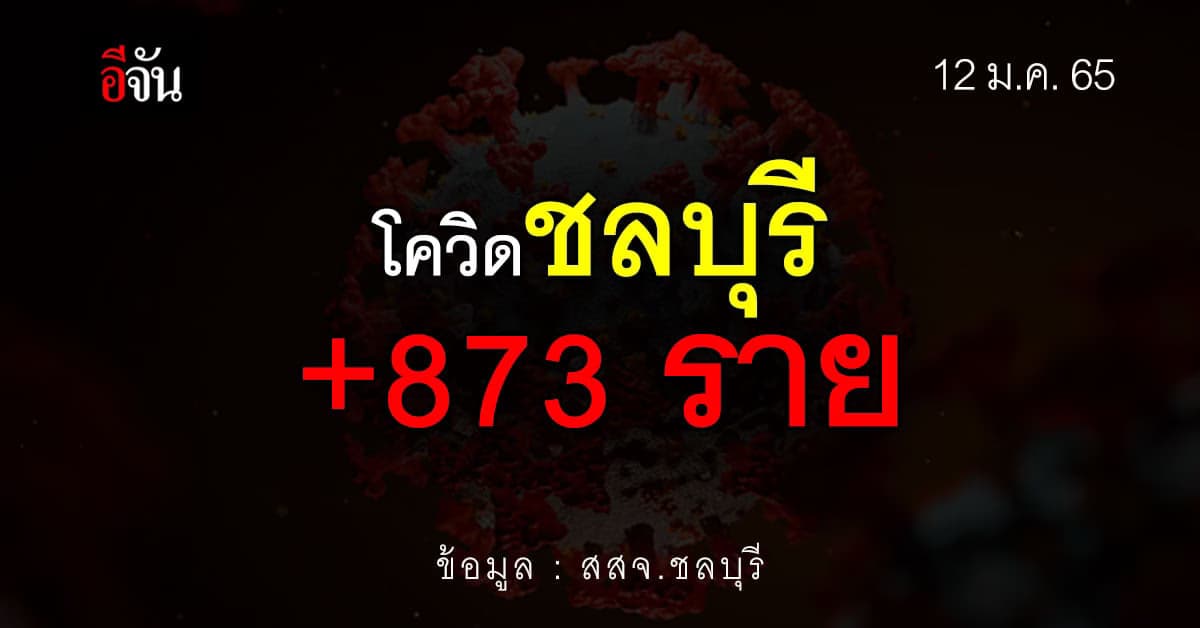 ชลบุรี ยอดยังสูง วันนี้ติดโควิดเพิ่ม 873 ราย