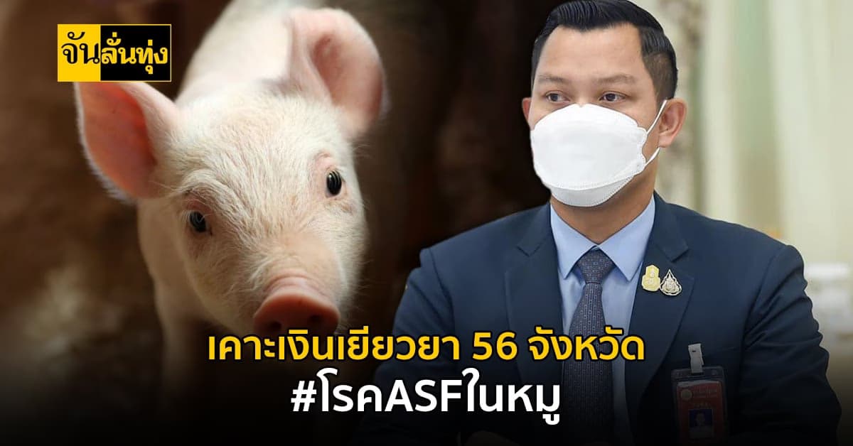 เตรียมเฮ! เคาะแล้ว เงินเยียวยาเกษตรกร ผู้เลี้ยงหมู 56 จังหวัด