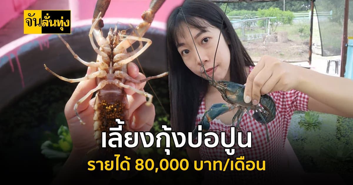 เลี้ยงกุ้งบ่อปูน รายได้เฉียดแสนต่อเดือน ! โดยทฤษฎี เลี้ยงแบบธรรมชาติ