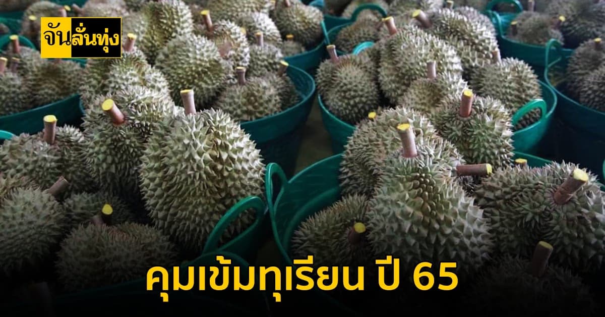 กำหนดมาตรการแก้ปัญหาทุเรียนด้อยคุณภาพ สร้างความเชื่อมั่นสู่ผู้บริโภค