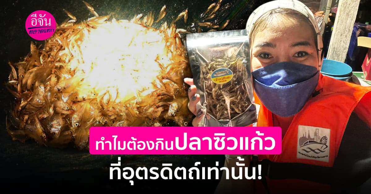 ของขายดี ต้องบอกความเด็ด ปลาซิวเเก้ว บ้านท่าปลา หนึ่งปีมีครั้งเดียว