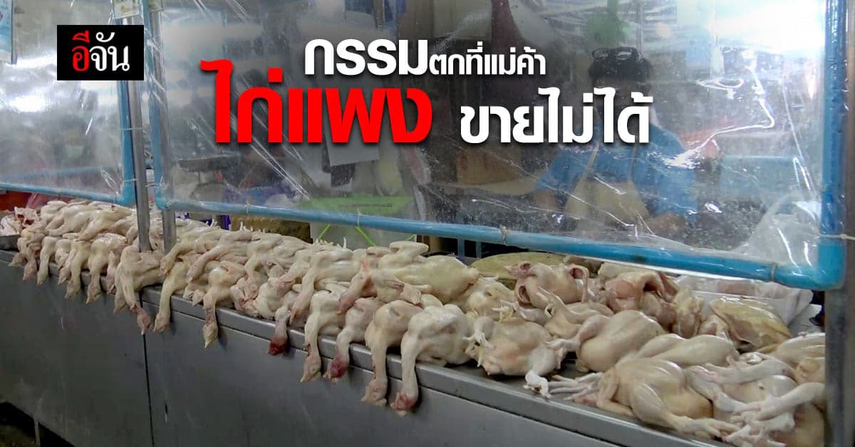 แม่ค้าโอดไก่ขึ้นราคา ขายยาก ต้องลดปริมาณการสั่งซื้อ