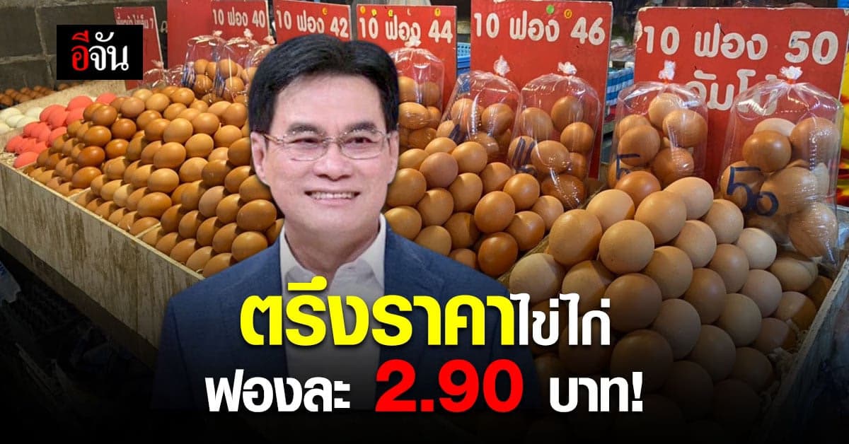 ข่าวดี! ผู้เลี้ยงไก่ไข่ ยอมตรึงราคา ไข่ไก่ หน้าฟาร์ม ฟองละ 2.90 บาท
