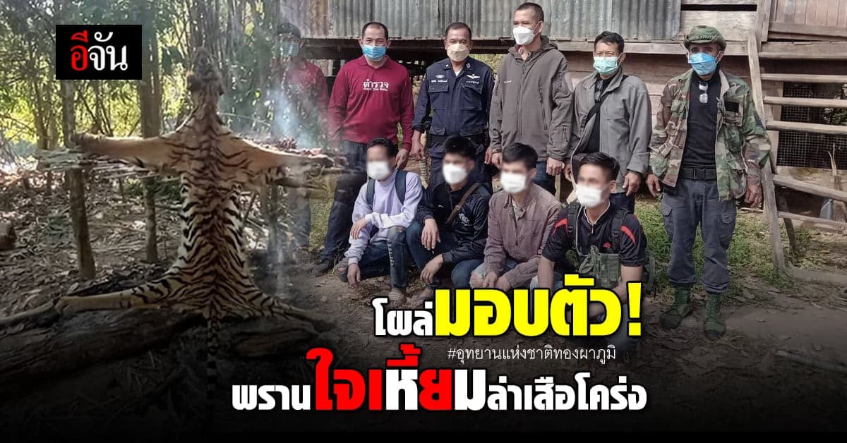 พรานใจเหี้ยม ล่า ถลกหนังเสือโคร่ง มอบตัวแล้ว 4 อีก 1 ยังหลบหนี!