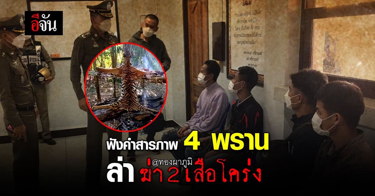 คลิป : ฟังคำสารภาพ 4 พราน ล่า ฆ่า 2 เสือโคร่ง @ป่าทองผาภูมิ