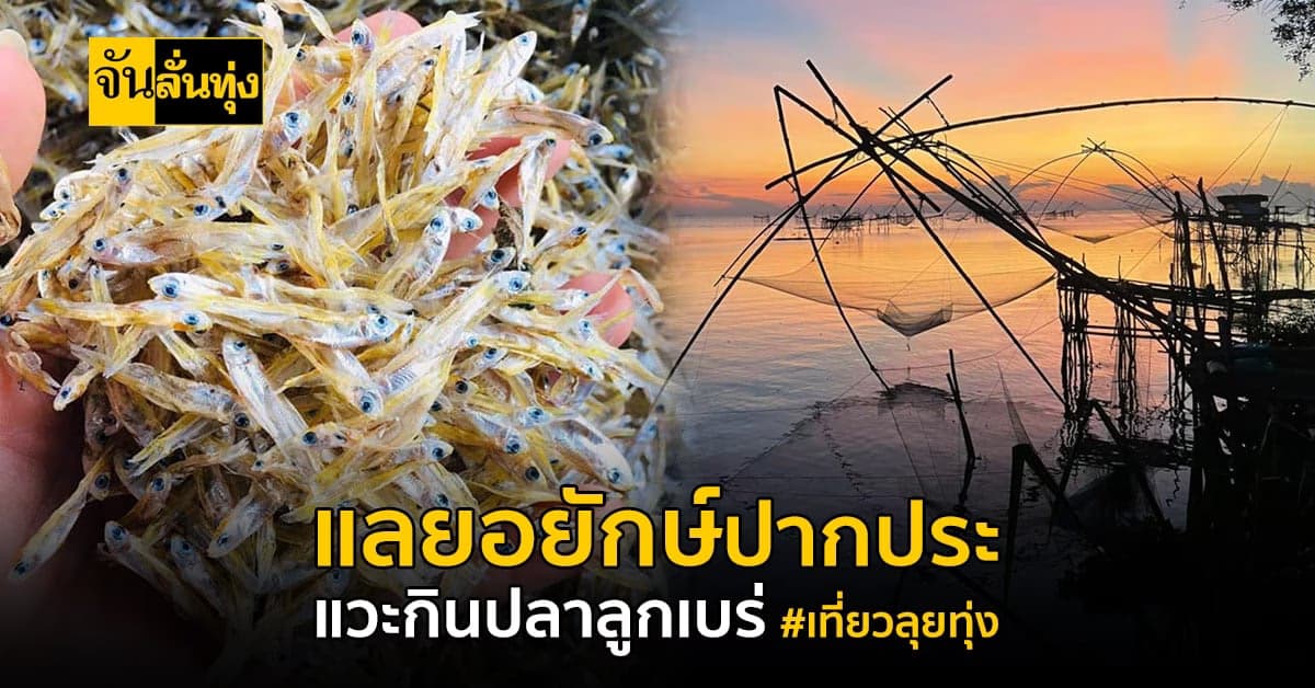 เที่ยวลุยทุ่ง พาไปแลยอยักษ์ แล้วแวะกินปลาลูกเบร่ ทอดขี้มิ้น ที่ พัทลุง