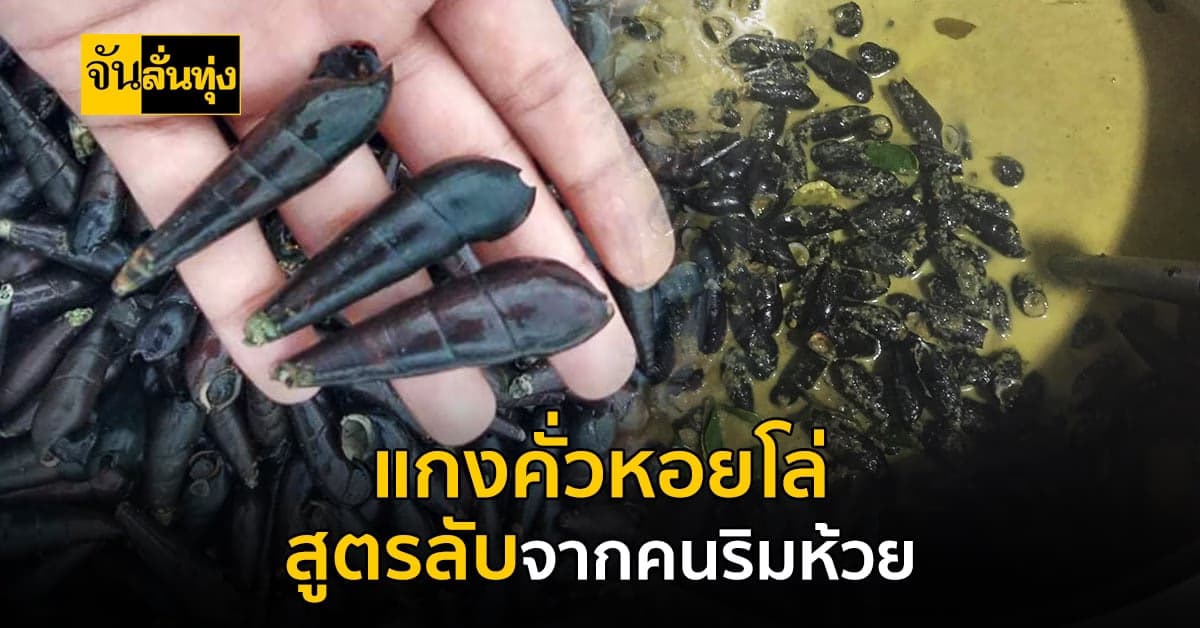 แกงกะทิ หอยโล่ ทำให้เป็น แล้วกินหรอยนิ #เที่ยวลุยทุ่ง