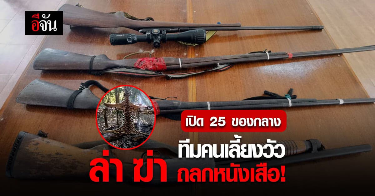 อุปกรณ์พร้อมล่า! เปิด 25 ของกลางทีมคนเลี้ยงวัว ฆ่า 2 เสือโคร่ง