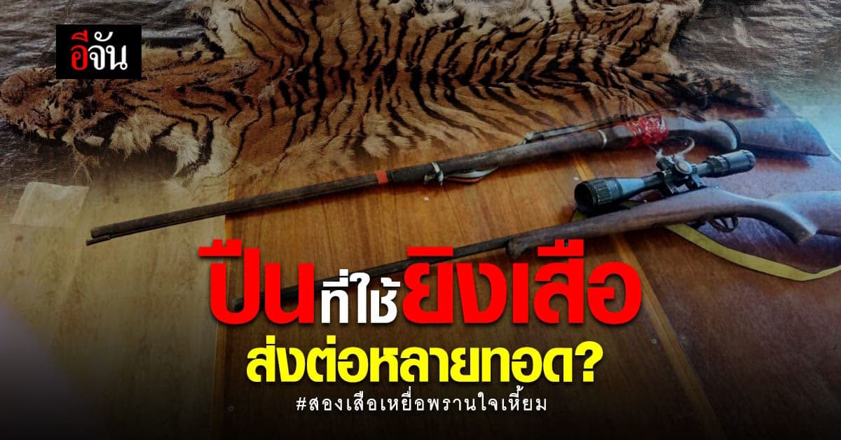 เจาะที่มาปืนของกลาง ของ 5 นายพรานมาจากไหน?