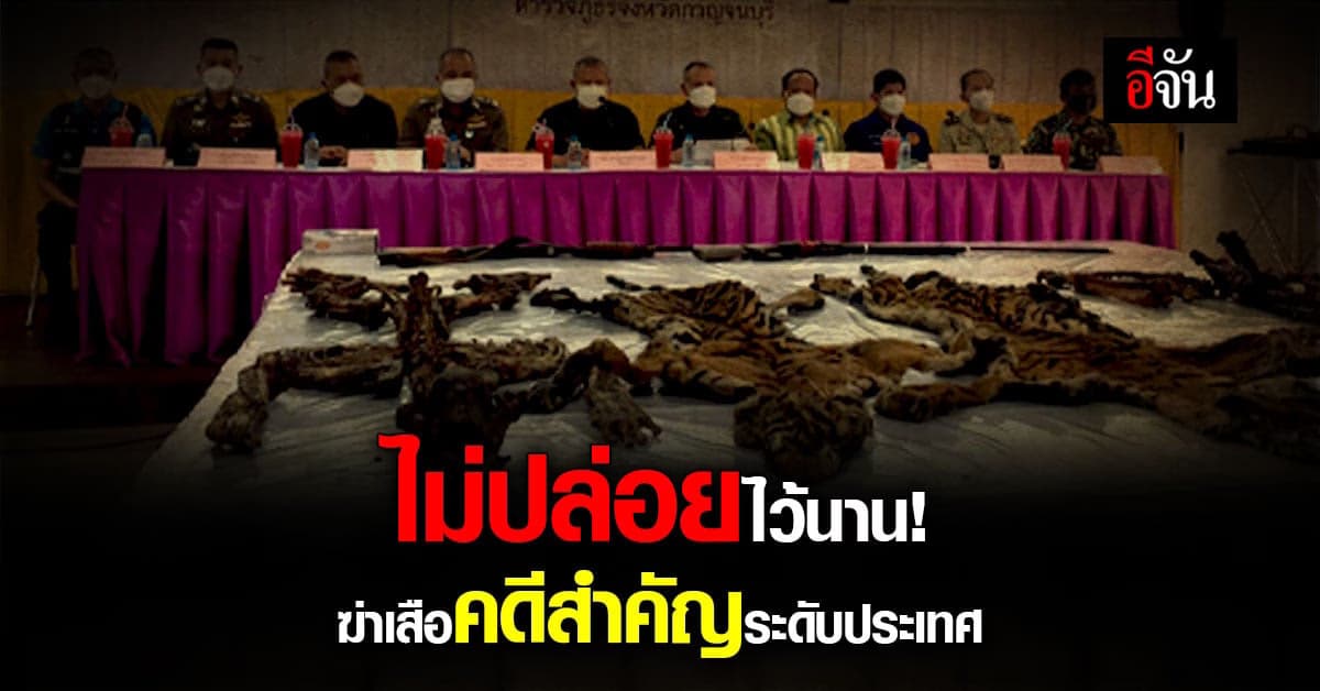 ตำรวจเร่งรัดคดีฆ่าเสือโคร่ง คดีนี้สำคัญระดับประเทศ