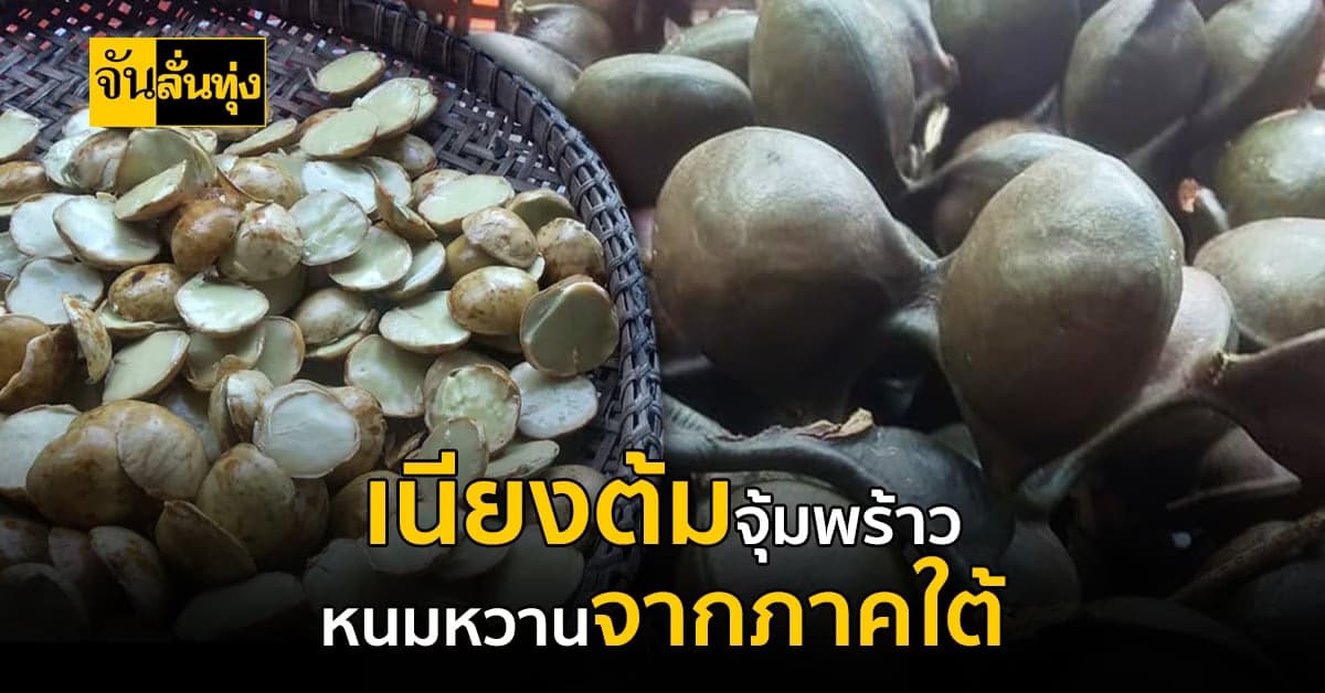 พร้าวขูด ผสมน้ำตาลหวานๆ กินคู่กับ ลูกเนียงต้ม ว่าหรอยนิ