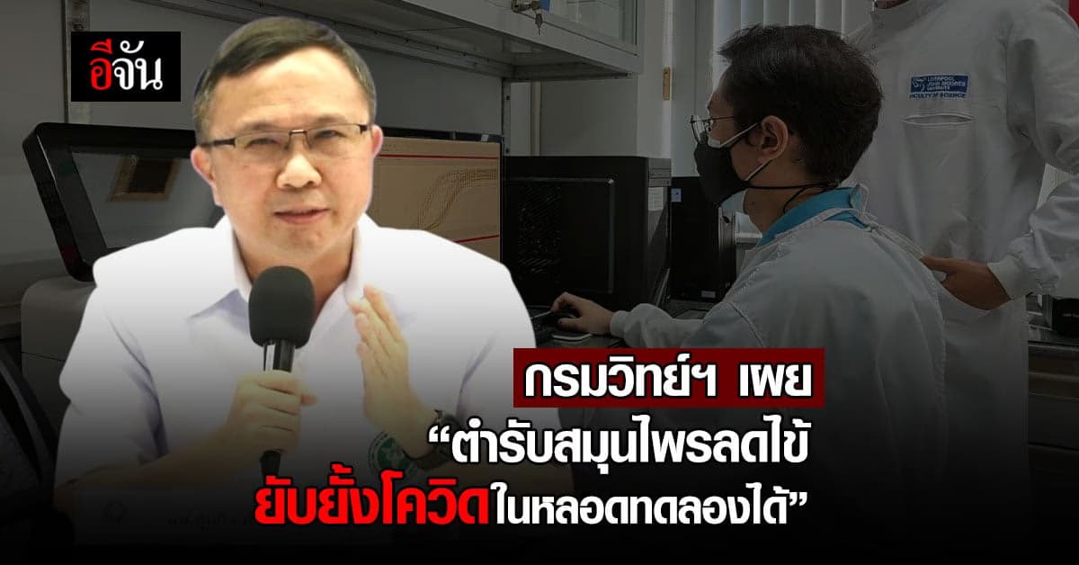 อีกความหวัง! กรมวิทย์ฯ เผย ตำรับสมุนไพรลดไข้ยับยั้งโควิดในหลอดทดลองได้