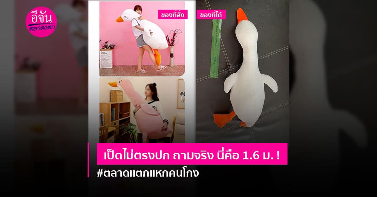 อย่าเห็นเเก่ของถูก สาวฉุนสั่งตุ๊กตาเป็ดตัวยักษ์ กลับได้ตัวเท่าเป็ดย่าง