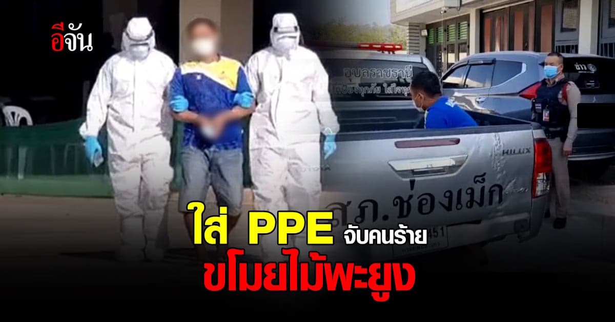 ใส่ PPE บุกรวบคนร้าย ขโมยไม้พะยูง คาศูนย์กักกันโควิด