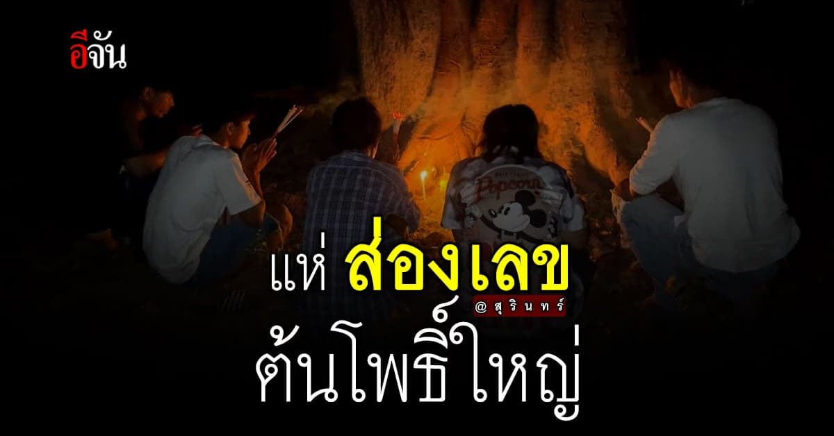 ชาวบ้าน จังหวัดสุรินทร์ แห่ ส่องเลข ต้นโพธิ์ ได้มา 4 เลข!
