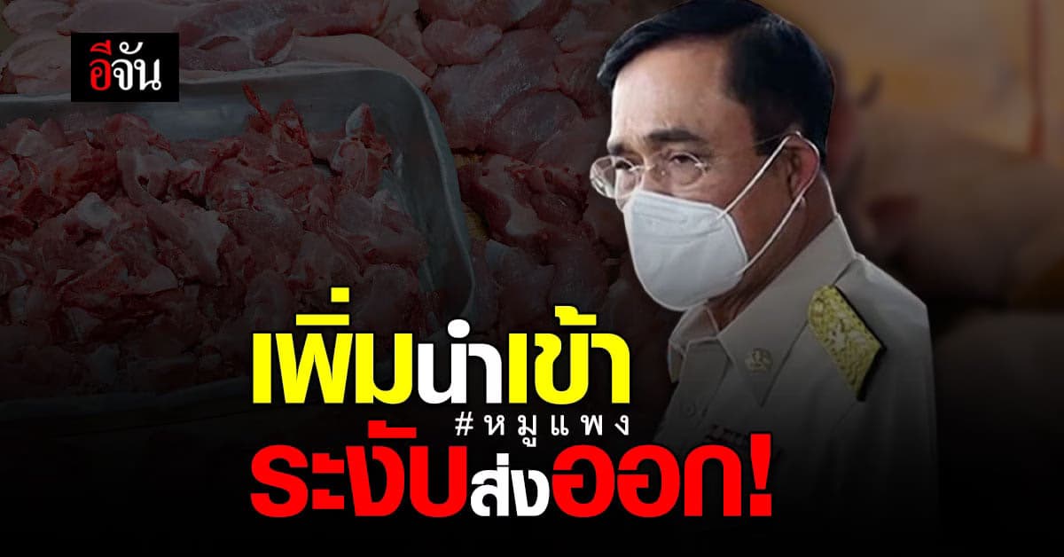 นายกฯเร่งแก้ปัญหาหมูแพง เพิ่มนำเข้า ระงับส่งออก เพาะพันธุ์หมูเพิ่ม