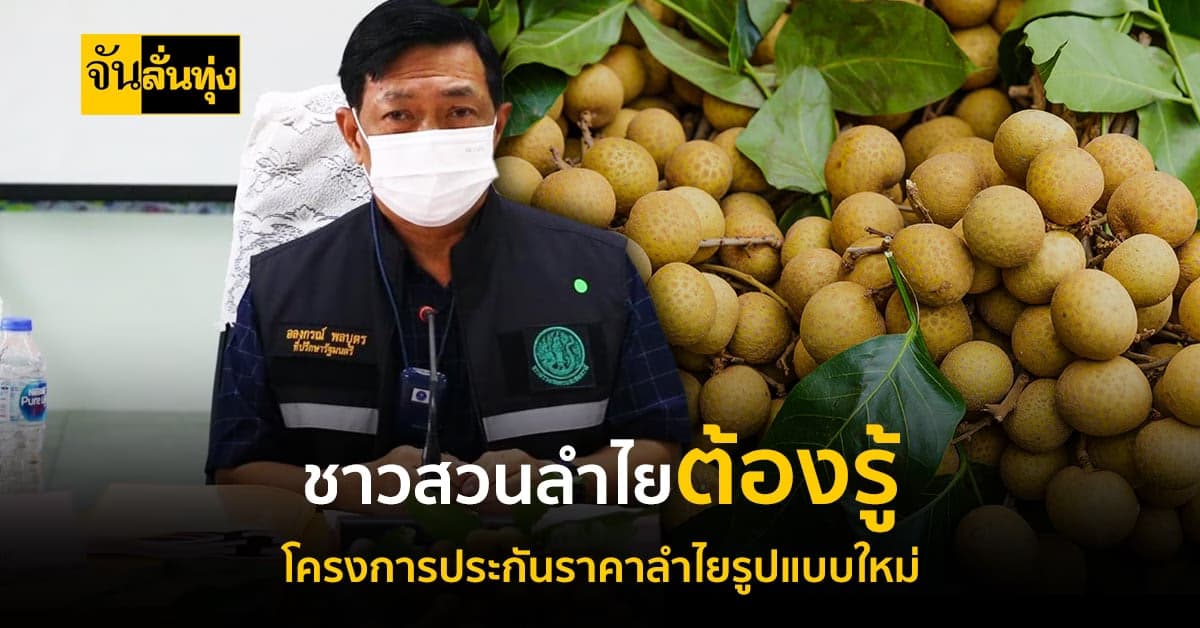 ภาคเหนือ ผนึกเกษตรกร-เอกชน โครงการประกันราคาลำไยรูปแบบใหม่