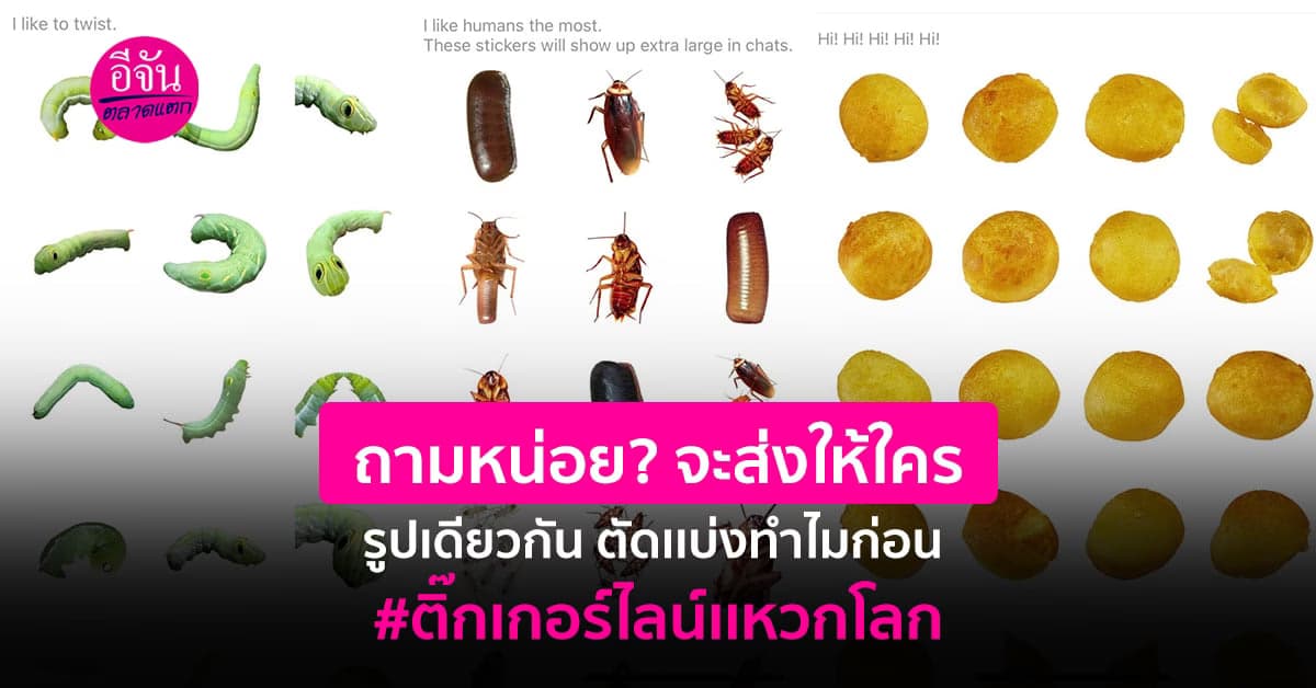 ช่างหาทำ จีนสร้างสติ๊กเกอร์ไลน์ขาย รูปอาหาร แมลง ชาวเน็ตชอบใจใหญ่