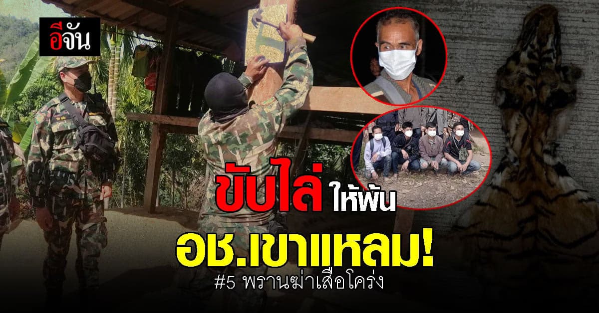 กรมอุทยานฯ สั่งขับไล่ – รื้อถอนบ้าน 5 นายพราน ฆ่าเสือโคร่งป่าทองผาภูมิ