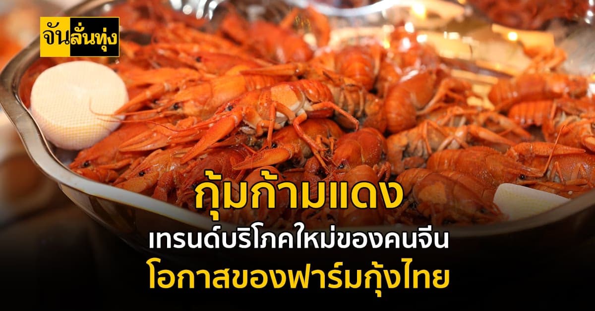 ตลาดจีนโอกาสทองของฟาร์มกุ้งก้ามแดงในไทย