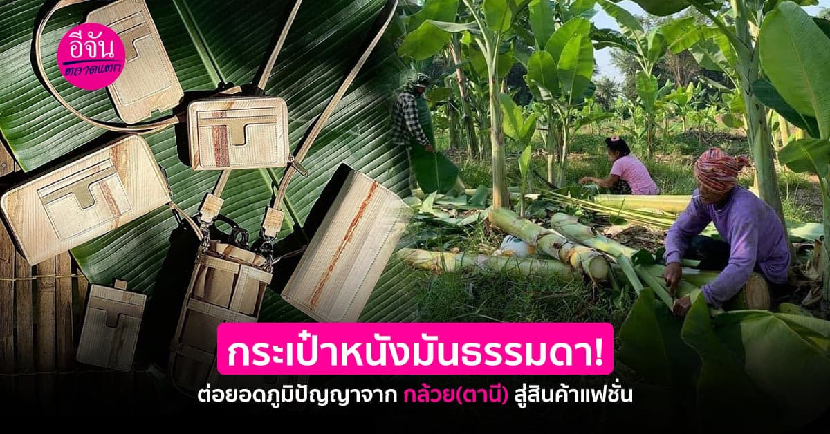 Tanee Siam เปลี่ยนกล้วย(ตานี)เป็นกระเป๋าแฟชั่นดีไซน์เก๋