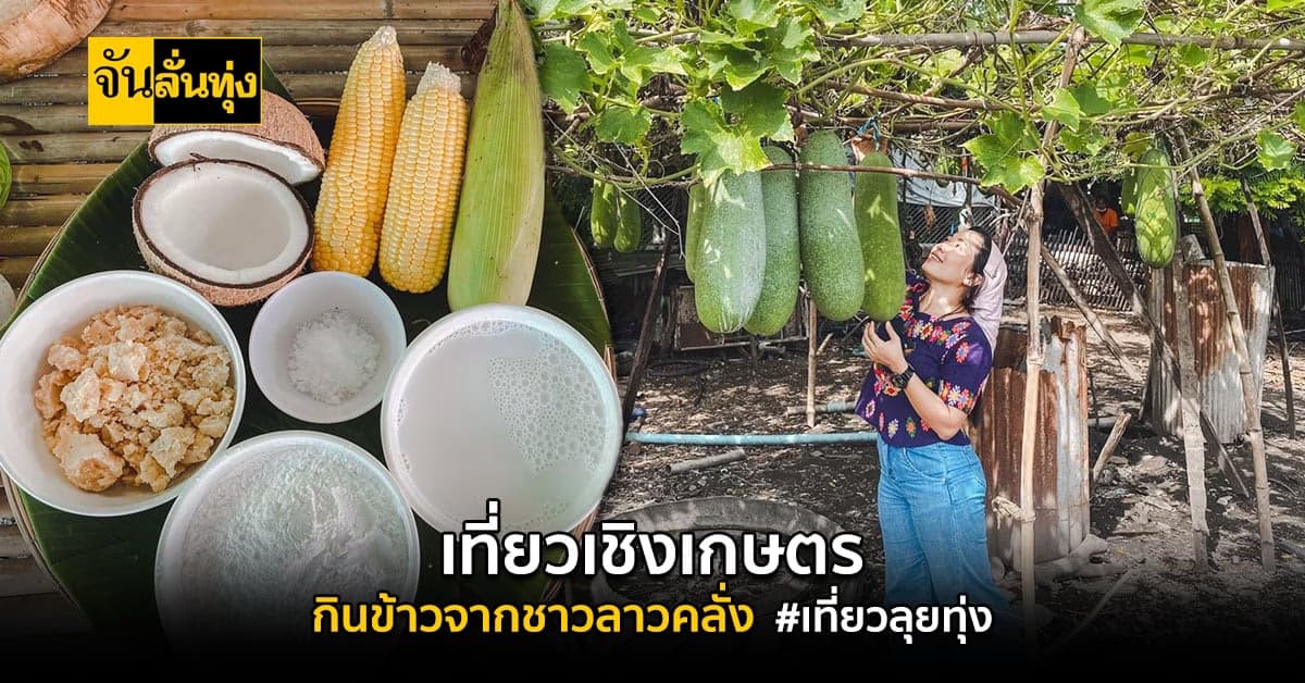 เที่ยวลุยทุ่ง พาไปหมู่บ้านดงเย็น เที่ยวเชิงเกษตร กินข้าวจากชาวลาวคลั่ง