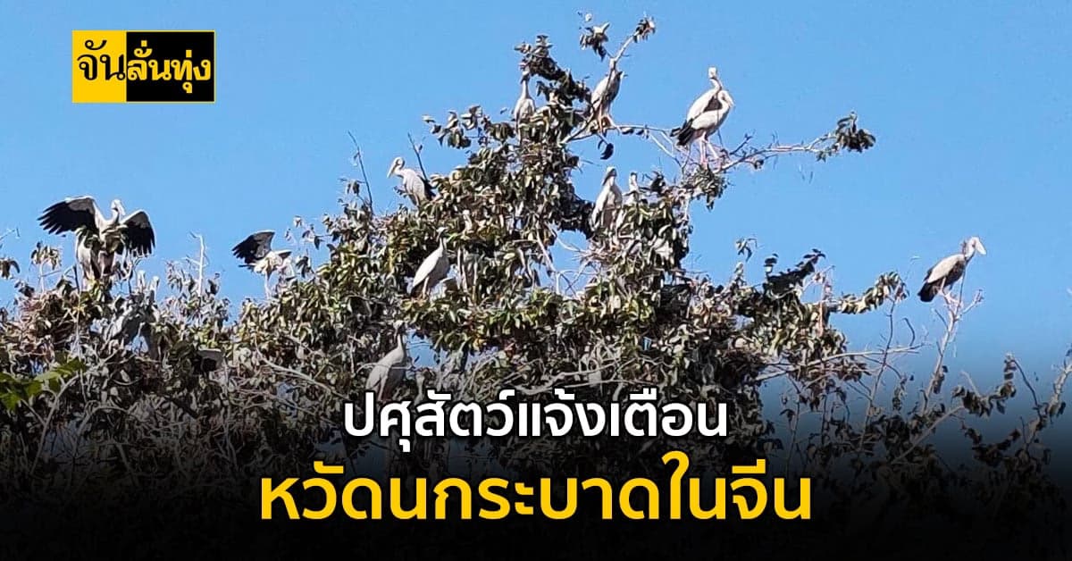 ประกาศเตือน!!! หลังพบการระบาดของโรคไข้หวัดนกในจีน