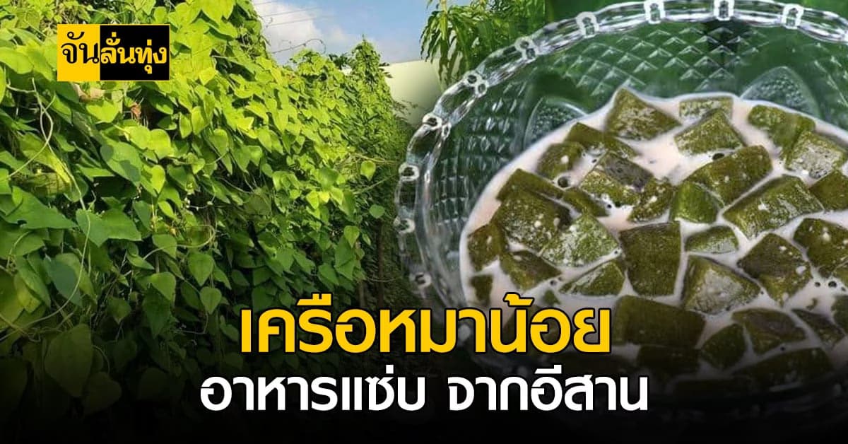 ไม่ใช่หมานะจ๊ะ! เครือหมาน้อย อาหารรสแซ่บจาก อีสาน บ้านเฮา