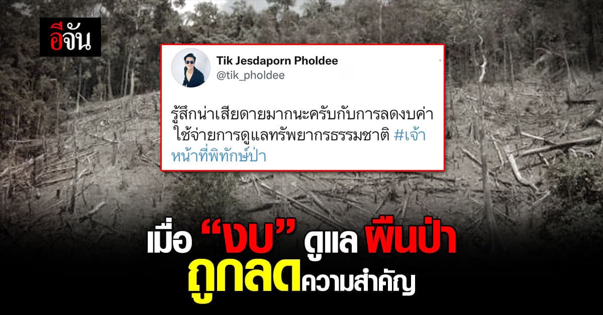 เมื่องบของ ผืนป่า ถูกลดความสำคัญ การจ้าง เจ้าหน้าที่พิทักษ์ป่า อาจลดลง