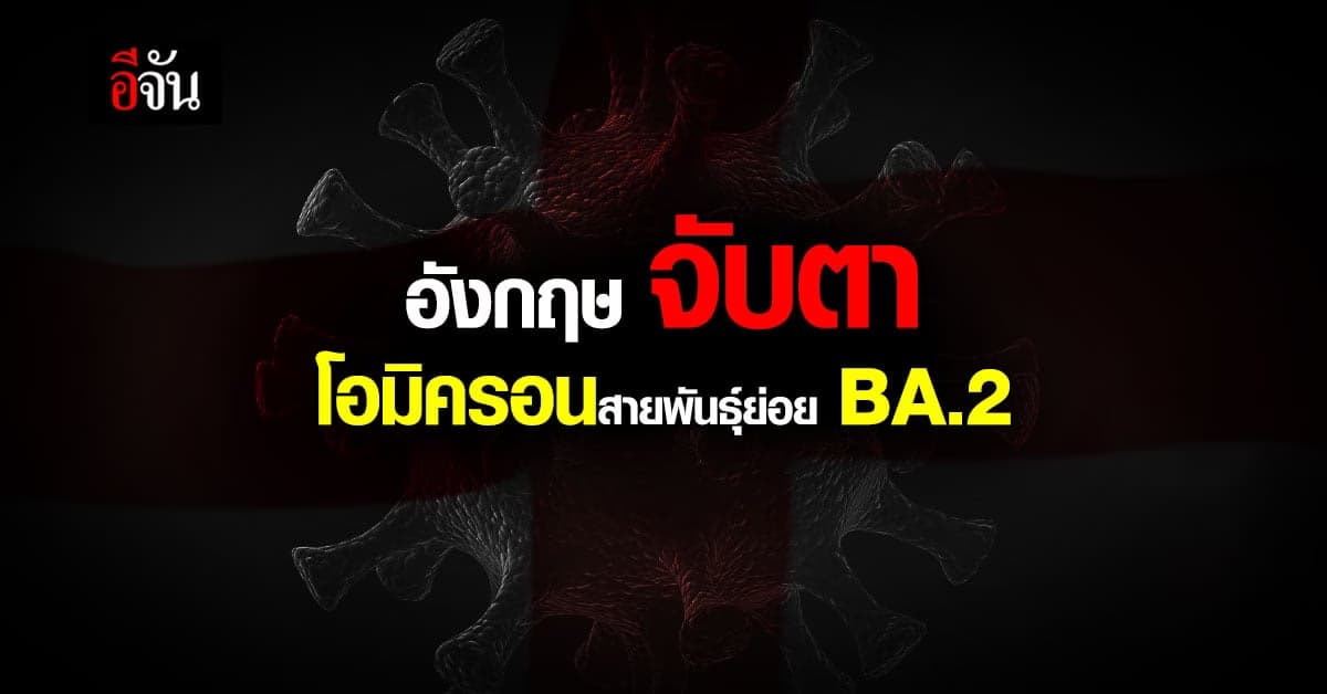 อังกฤษ จับตา โอมิครอน สายพันธุ์ย่อย BA.2 หลังพบ การระบาด ในระดับต่ำ