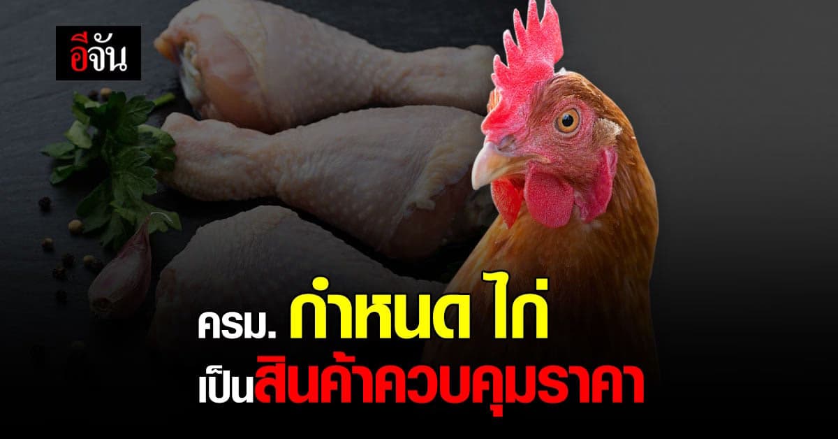 ครม. กำหนด ควบคุมราคา ไก่  หลัง ประชาชน หันมา บริโภค มากขึ้น
