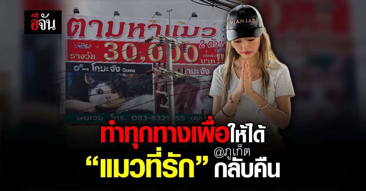 เศร้าใจ! ชาวญี่ปุ่นทำแมวหาย ขึ้นบิลบอร์ดตามหา ใครพบให้ 3 หมื่น