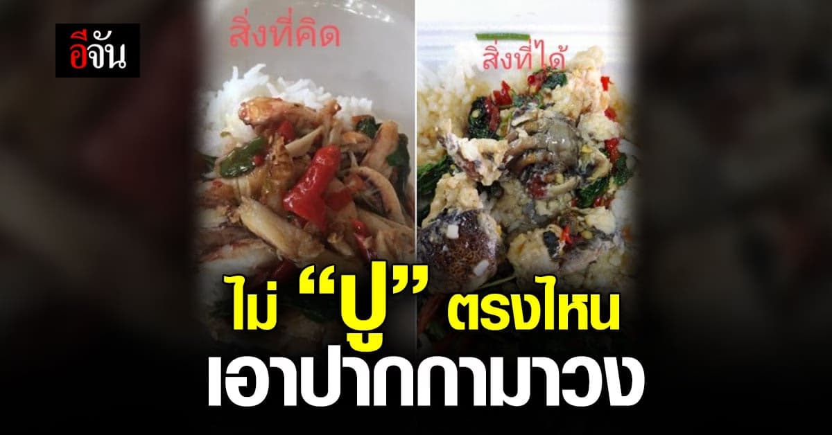 ไม่ปูตรงไหนเอาปากกามาวง! สั่งกะเพราปู ได้ปูจริงแต่เป็นปูเค็ม