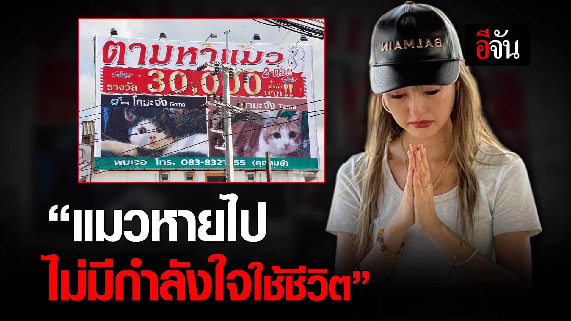 คลิป : “แมวหายไป ไม่มีกำลังใจใช้ชีวิต”