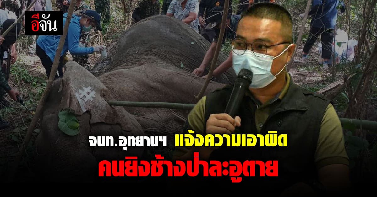 จนท.อุทยานฯ แจ้งความเอาผิด คนยิงช้างป่าละอูตาย