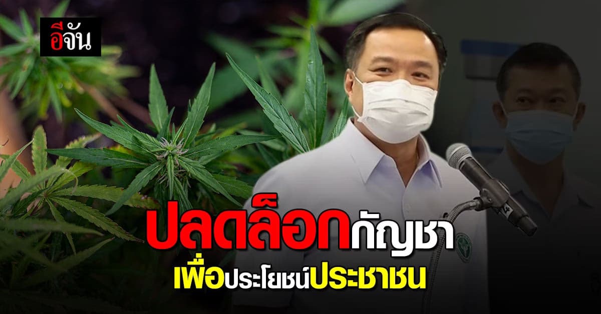 อนุทิน ยัน ปลดล็อก กัญชา เพื่อ ประโยชน์ของประชาชน