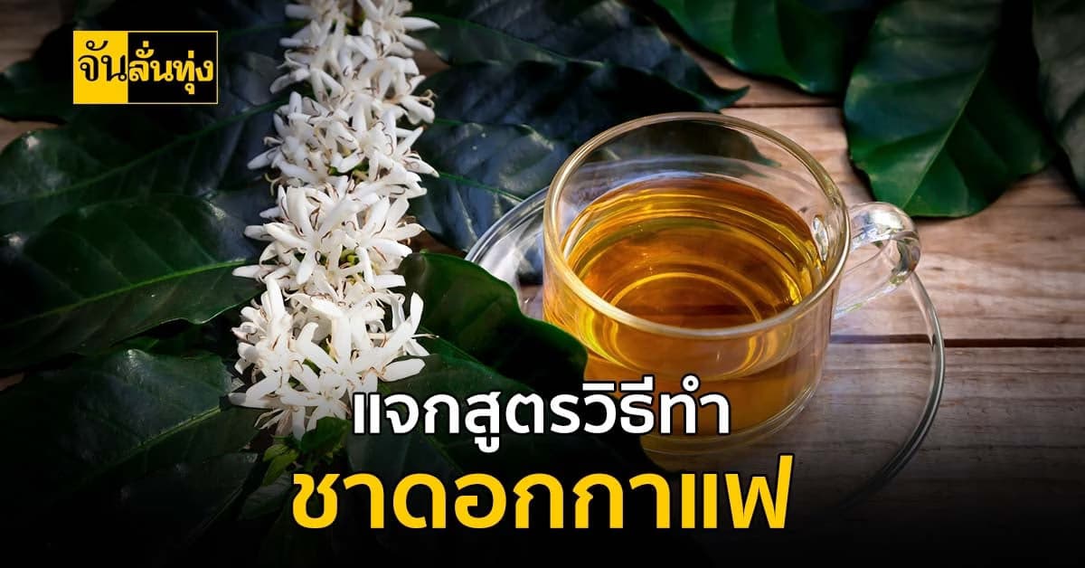 ชาดอกกาแฟ โอกาสใหม่ของคนปลุกกาแฟ