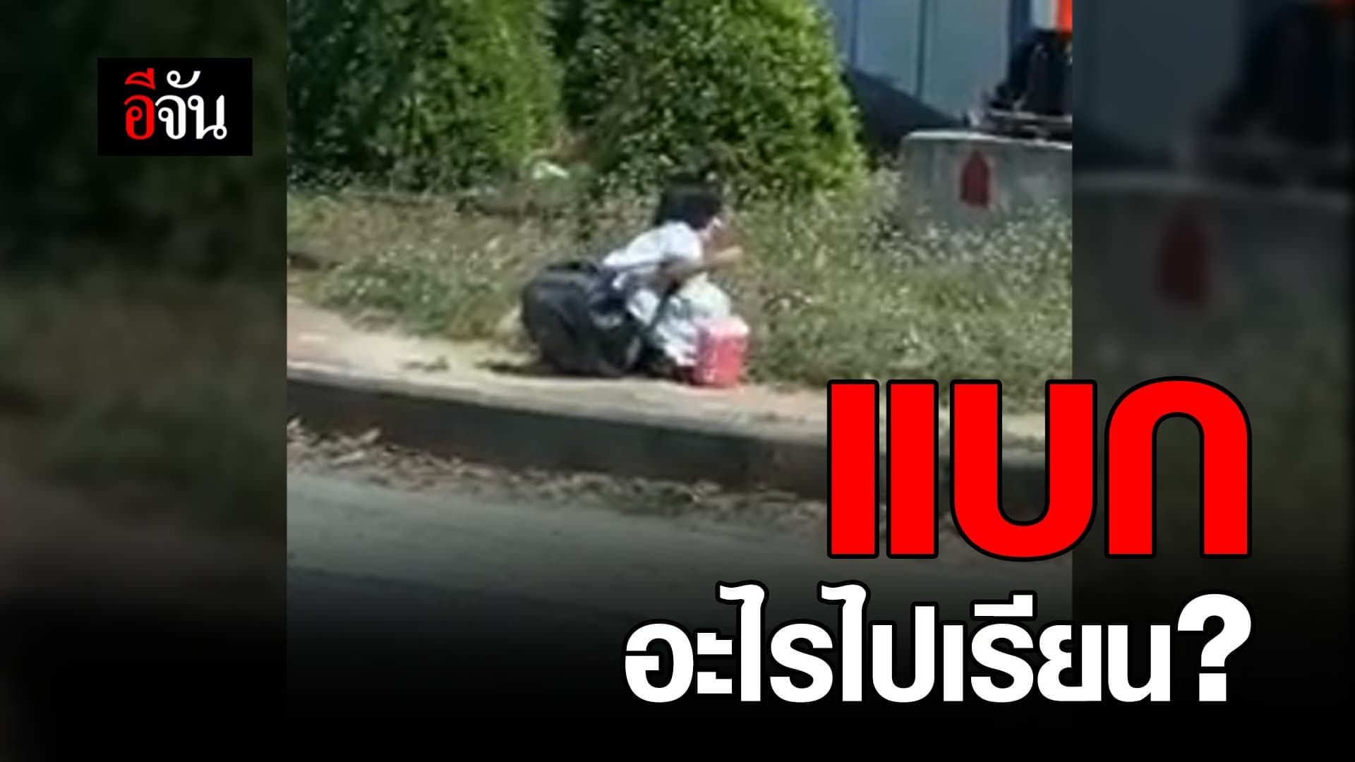 คลิป : หนูน้อยเเบกอะไรไปเรียน ?