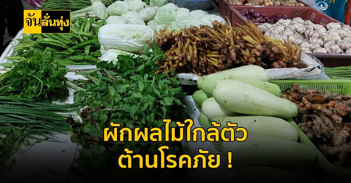 โควิด19 ก็น่ากลัว มาเสริม สร้างภูมิคุ้มกัน โรคด้วยผักผลไม้กันเถอะ !