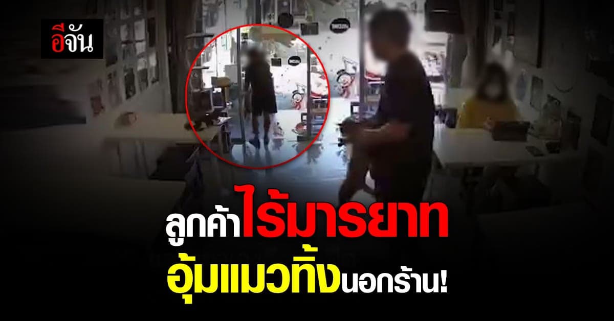 คนรักแมวเดือด! เจอลูกค้าไปคาเฟ่แมว แต่ใช้เท้าเตะ อุ้มแมวออกนอกร้าน