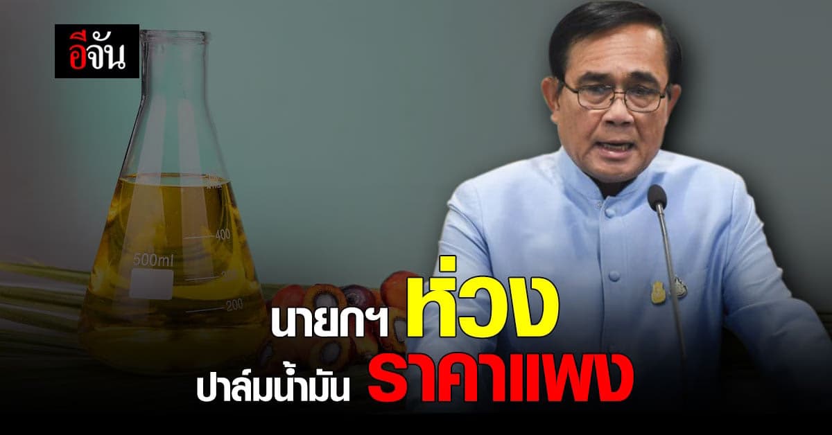 นายกฯ ห่วง ราคาปาล์มน้ำมัน สั่งตรวจสต๊อก หวั่น กักตุน