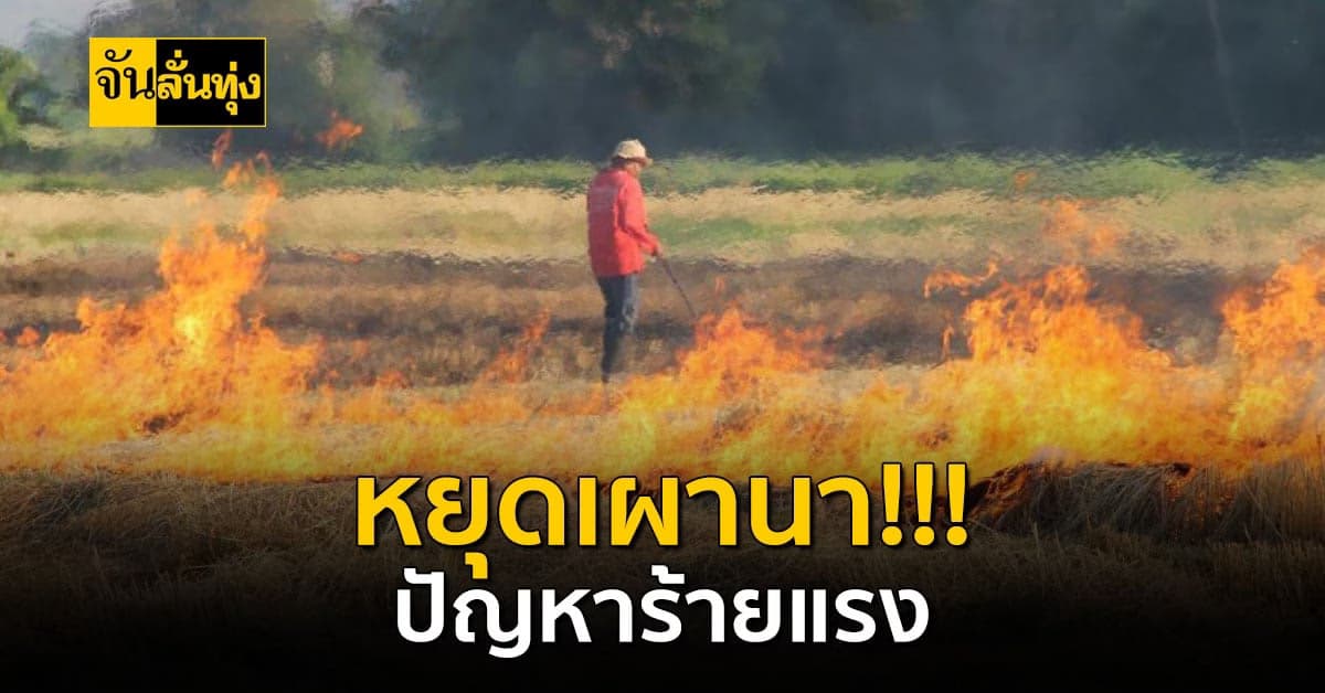 ลดการเผานาเน้นใช้เทคโนโลยีจัดการเศษวัสดุเหลือใช้ สร้างรายได้