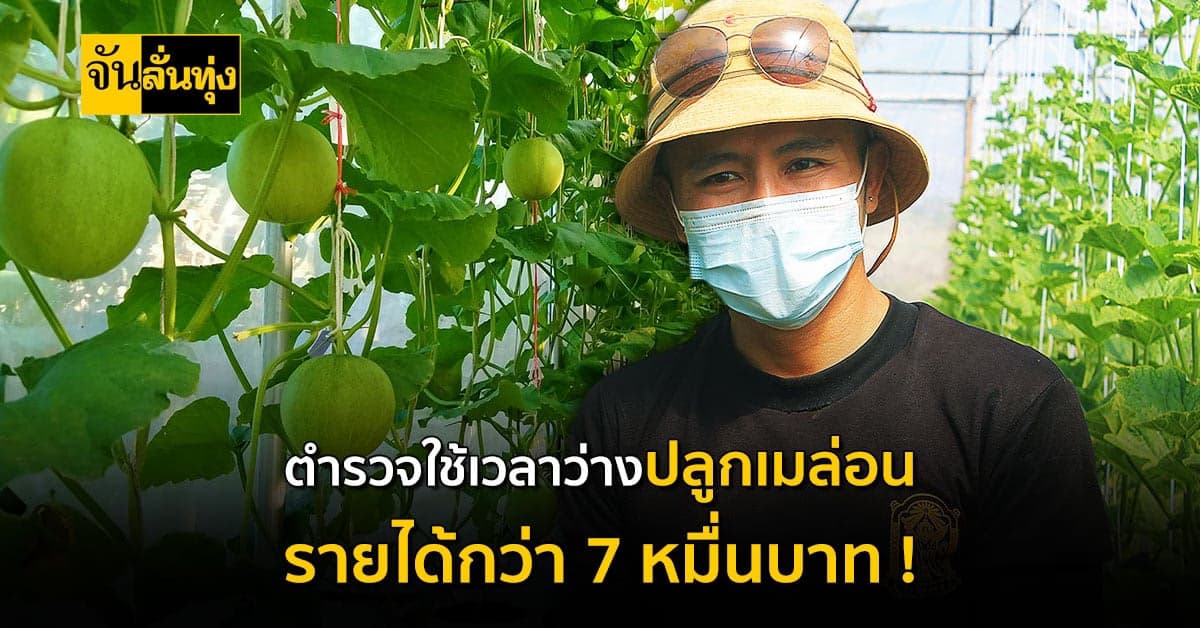 ตำรวจหนุ่มวัย 38 ใช้เวลาว่าง ปลูกเมล่อนสร้างรายได้ !