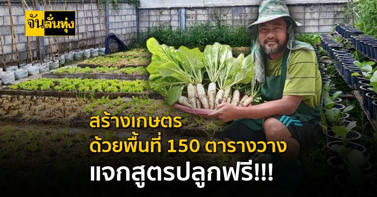 ปรับพื้นที่ 150 ตารางวา ปลูกผักขายสร้างรายได้ทุกวัน