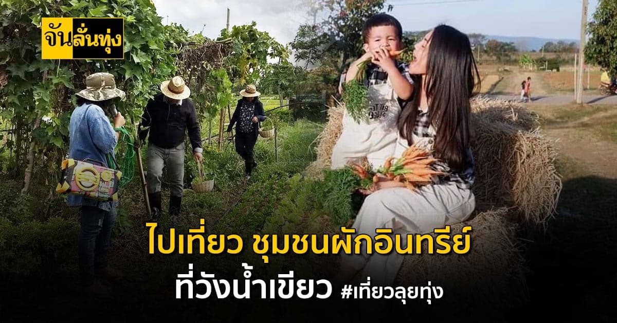 เที่ยวลุยทุ่ง ชวนไปเก็บผัก ทำกับข้าว ในชุมชนผักอินทรีย์ ที่วังน้ำเขียว