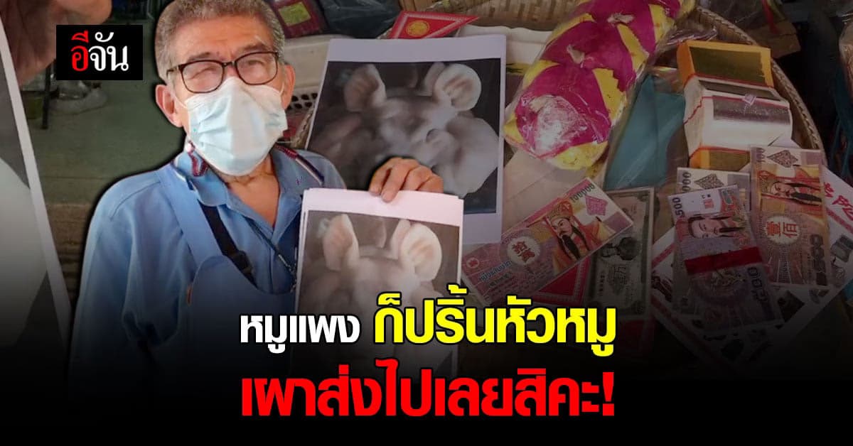 หมูแพง รับ ตรุษจีน วันจ่าย เงียบเหงา พ่อค้า ปิ๊งไอเดีย เย้ยราคาหมู