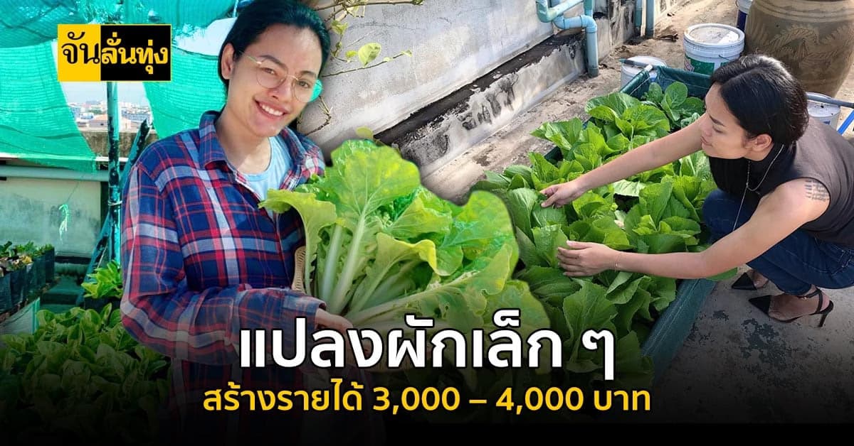 ไอเดียเก๋ พื้นที่น้อยก็ปลูกผักได้ แถมสร้างรายได้เน้น ๆ