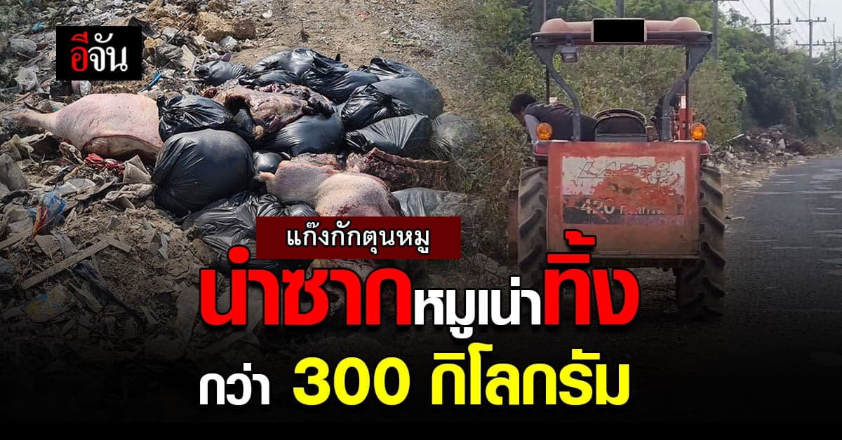แก๊งกักตุนหมู นำ ซากหมูเน่า หลบหนีตรวจจับ มาทิ้งกว่า 300 กิโลกรัม