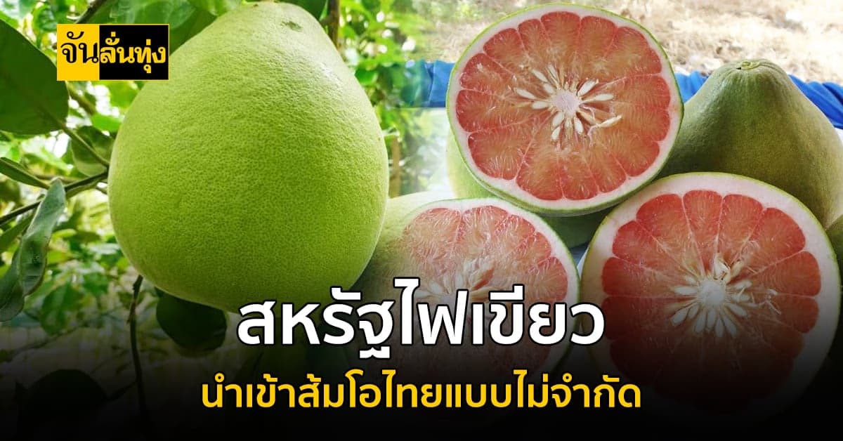 ประเทศสหรัฐอเมริกาอนุญาตให้นำเข้าส้มโอผลสดจากประเทศไทย แบบไม่จำกัด
